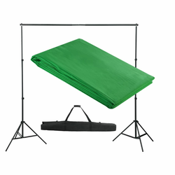 VIDAXL zeleno platno/ozadje za fotografiranje z ogrodjem 300xcm