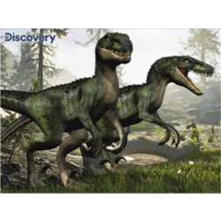 PRIME 3D Puzzle Discovery: velociraptorji 3D 100 kosov