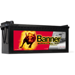 Banner BUFFALO BULL PRO Akumulator 145Ah SHD 800A/En