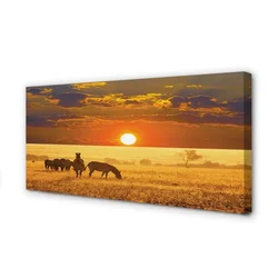 tulup.si Slika na platnu Zebra zahodu oblaki 120x60 cm