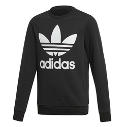 adidas  Puloverji TREFOIL CREW  Črna