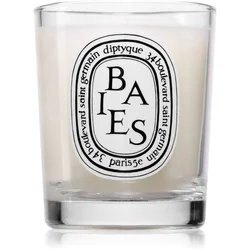 Scented Candle Diptyque (70 g)