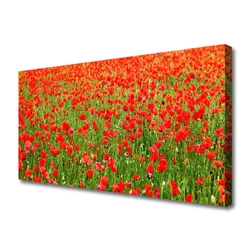 tulup.si Slika na platnu Rastlinskih mak naravi 140x70 cm