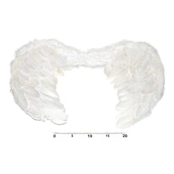 Angelska krila 55x40 cm