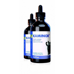 Kaminox 60 ml