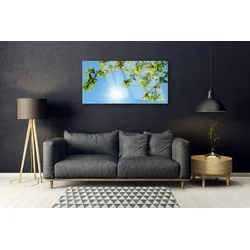 tulup.si Steklena slika Sonce narava 120x60 cm 4 obešalnika