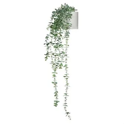 MID.YOU Umetna Rastlina Eucalyptus Climb