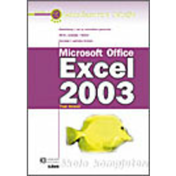 EXCEL 2003 - NAUČITE ZA 24 ČASA, Trudi Reisner