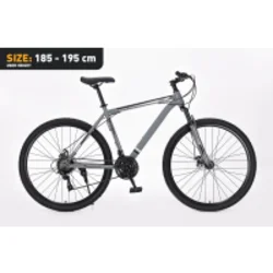 Xplorer MTB bicycle MATTERHORN Gray 29