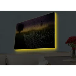 Zidna slika sa LED osvetljenjem 4570HDACT-003, 45x70 cm
