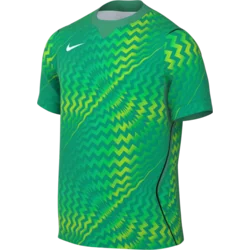 Nike Dres Dri-FIT Gardien VI Goalkeeper