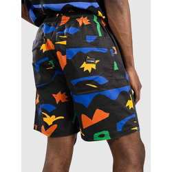 Volcom Fa Arthur Longo Ew 18 Kratke hlace black