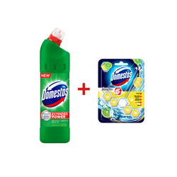 Domestos 24H Plus Pine, 750ml + Domestos Power 5 Lime, 55g