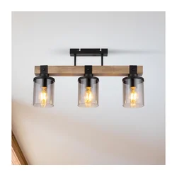 Brilagi - Plafonski luster VISTA 3xE27/60W/230V hrast