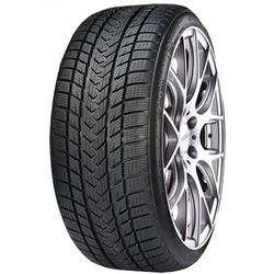 Gripmax Status Pro Winter ( 225/45 R18 95V )