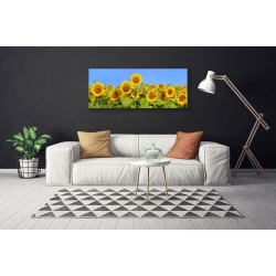 tulup.si Slika na platnu Sončnica flower rastlin 120x60 cm