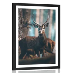 Plakat s paspartujem jelen v gozdu - 40x60 no frame