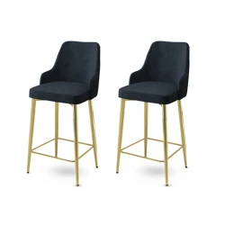 Hanah Home Set 2 barske stolice Antracit-Zlatni