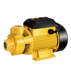Deli Periferna pumpa WZB750 750W EDL-WZB750-E1