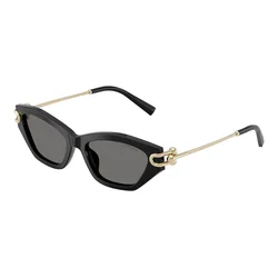 Tiffany Naočare za sunce TF 4231U 800181