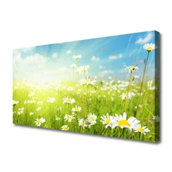tulup.si Slika na platnu Daisy travnik narava 100x50 cm