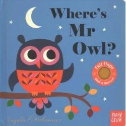 Wheres Mr Owl?