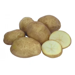 SEMENSKI KROMPIR CARLINGFORD A35-55, 10kg