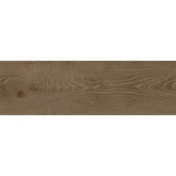 G1813 Brown 18,5x59,8
