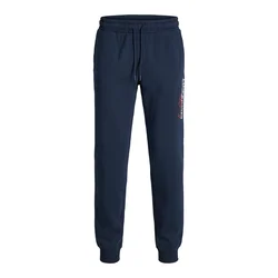 JACK & JONES Hlače JPSTGORDON temno modra/rdeča/bela