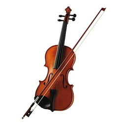 MSA violina 600X220X100 MM