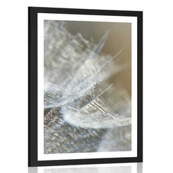 Plakat s paspartujem makro regratova lučka na ozadju - 20x30 silver