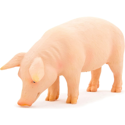 Moj prašiček