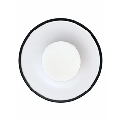 LED plafonjera R-A46, 36 W