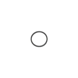 O RING