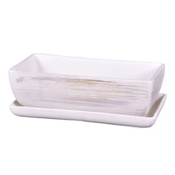 Škatla KAKTUS WHITE + krožnik keramika mat 30cm