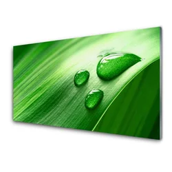 tulup.si Steklena slika Leaf water drops 140x70 cm 2 obešalnika