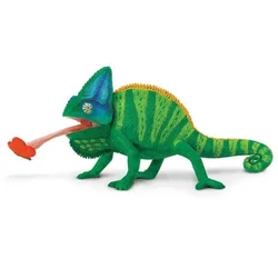 Safari Jemenska kameleon
