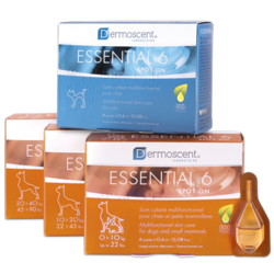 Dermoscent Essential 6 Beauty Serum za pse M (4 x 1,2 ml)