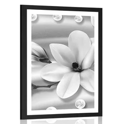 Plakat s paspartujem luksuzna magnolija z biseri v črnobeli varianti - 20x30 silver