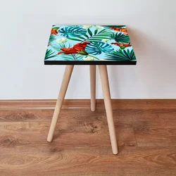 Hanah Home Klub sto Shp199, 35x42x35 cm, Šareni