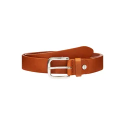 VANZETTI Pas, rjava