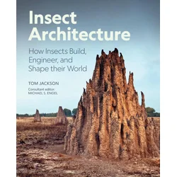 Insect Architecture