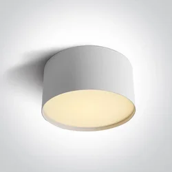 STROPNA SVJETILJKA 20W CCT IP20 BIJELA