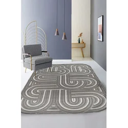 Conceptum Hypnose Tepih Amorf-Ar008, Pravougaoni, 200x290 cm, Krem-sivi