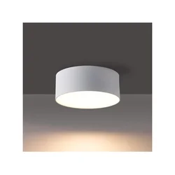 BRILAGI - LED Spoljašnje plafonsko svetlo FORIS LED/9W/230V O 9 cm belo IP44
