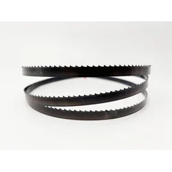 Tračni listi za les 1790/10x0,5/6-Skip Dudrsaw