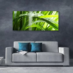 tulup.si Slika na platnu Rastlin trava dew drops 125x50 cm