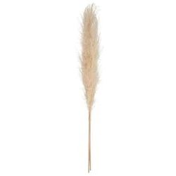 Veštački Cvet 110cm Pampa