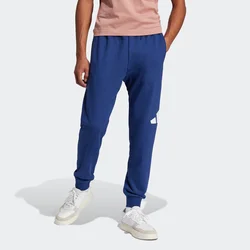 Adidas M BL FT PT, muške hlače, plava KRG08