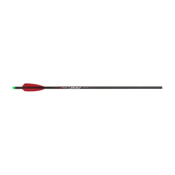 Victory Bolt Carbon XBolt Sport
